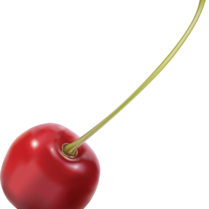 cherry PNG image
