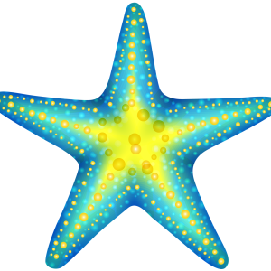 Starfish PNG
