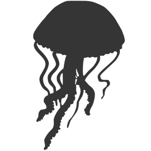Jellyfish PNG