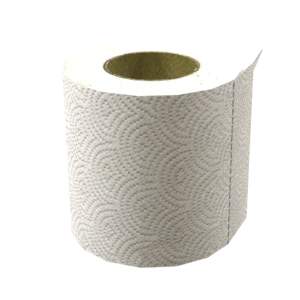 Toilet paper PNG