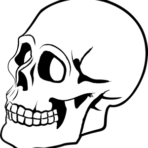 Skull PNG