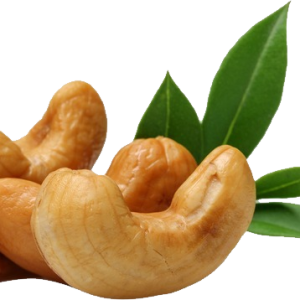 Cashew nut PNG