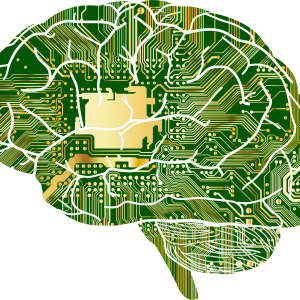 Brain PNG