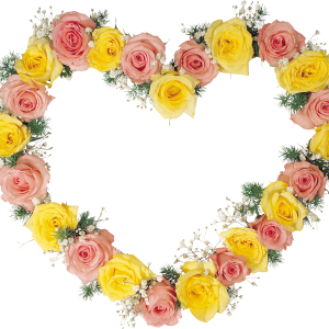 Floral frame PNG