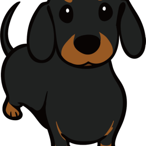 Dachshund PNG