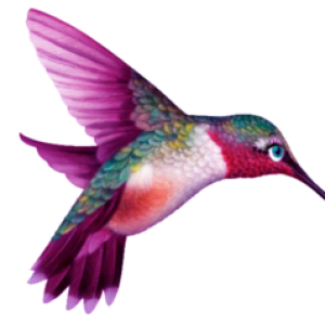 Hummingbird PNG