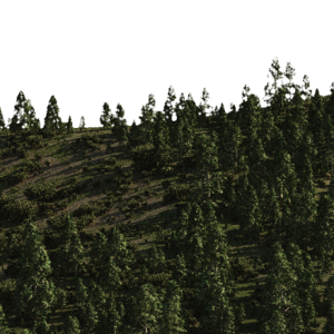 Mountain PNG