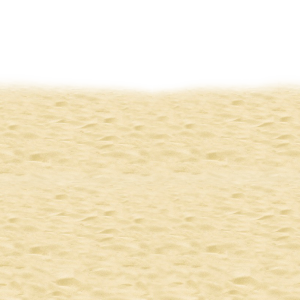Beach PNG