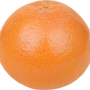 Grapefruit PNG