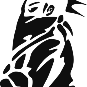 Punk rock PNG