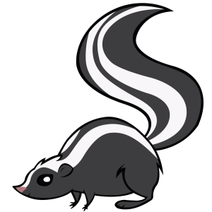 Skunk PNG