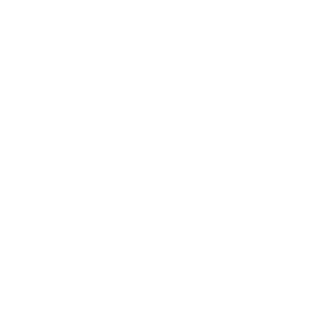 letter D PNG