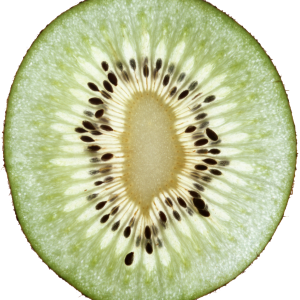 Kiwi PNG image, free fruit kiwi PNG pictures download