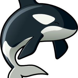 Killer whale PNG