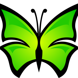 Butterfly PNG image