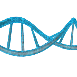 DNA PNG