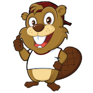 Beaver PNG