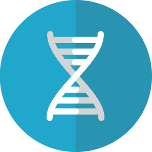DNA PNG