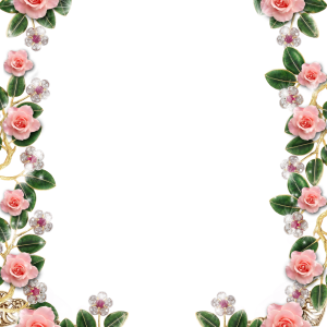 Floral frame PNG