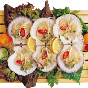 sushi PNG