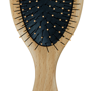 Hairbrush PNG