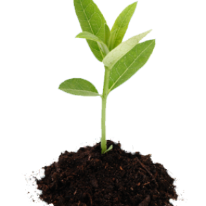 Soil PNG