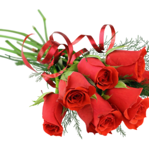 Rose PNG