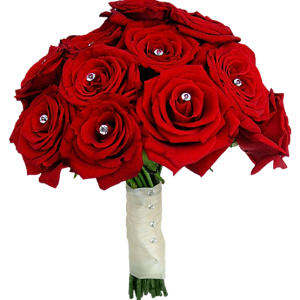 Rose PNG
