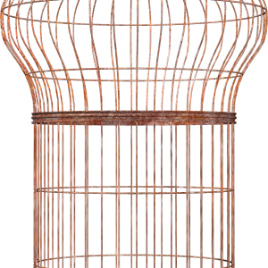 Cage bird PNG