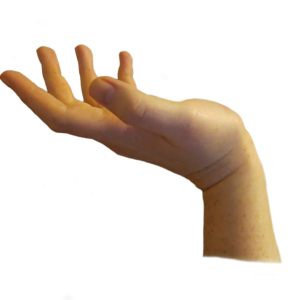 Hands PNG, hand image free