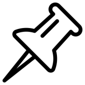 Pin PNG