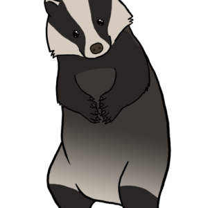 Badger PNG
