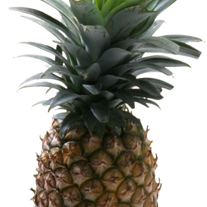 Pineapple fruit PNG image