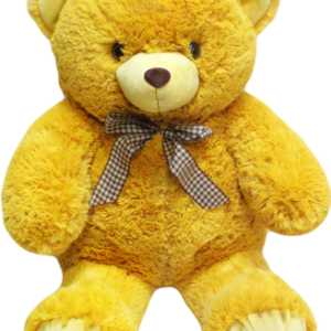 Teddy bear PNG