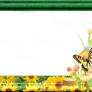 Picture, photo frame PNG