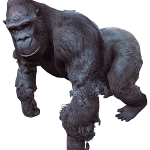 Gorilla PNG