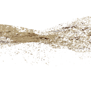 Sand PNG