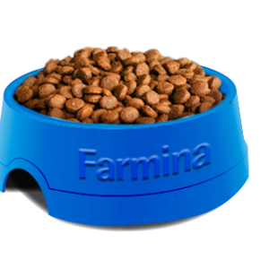 Dog food PNG