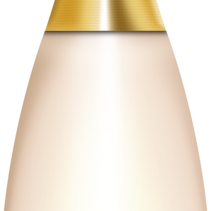 Perfume PNG image