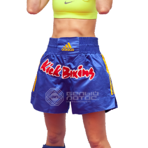 Kickboxing PNG