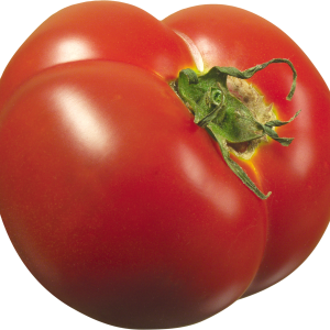 fresh big tomato PNG
