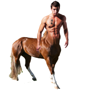 Centaur PNG