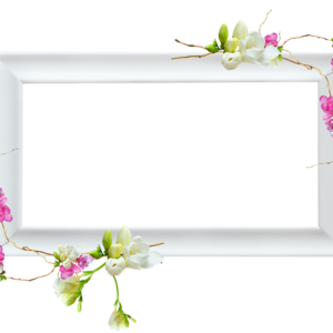 Picture, photo frame PNG