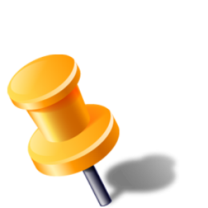 Pin PNG