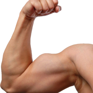 Muscle hand PNG