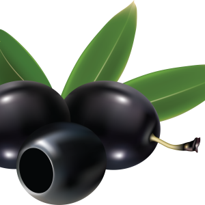 Black olives PNG