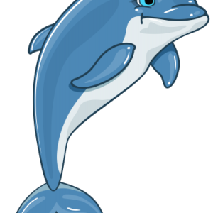 Dolphin PNG