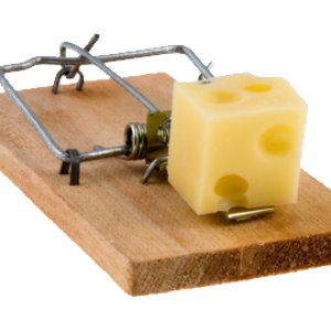 Mouse trap PNG
