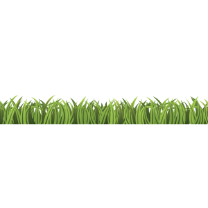 Grass PNG