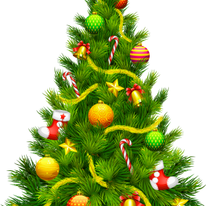Christmas tree PNG